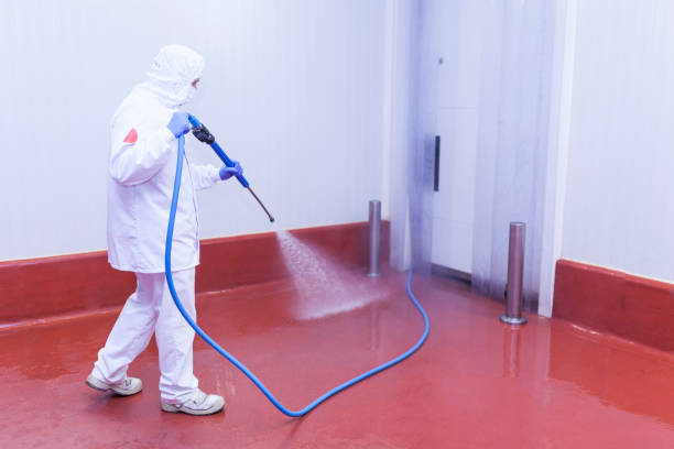 Paint Preparation in Charlotte Park, FL