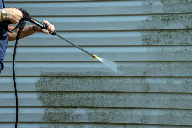 Best Graffiti Removal  in Charlotte Park, FL